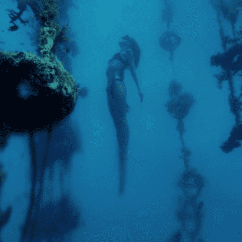 Marine conservation 1