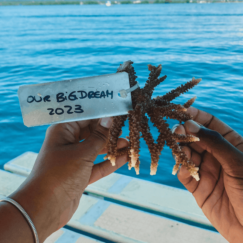Marine conservation 8