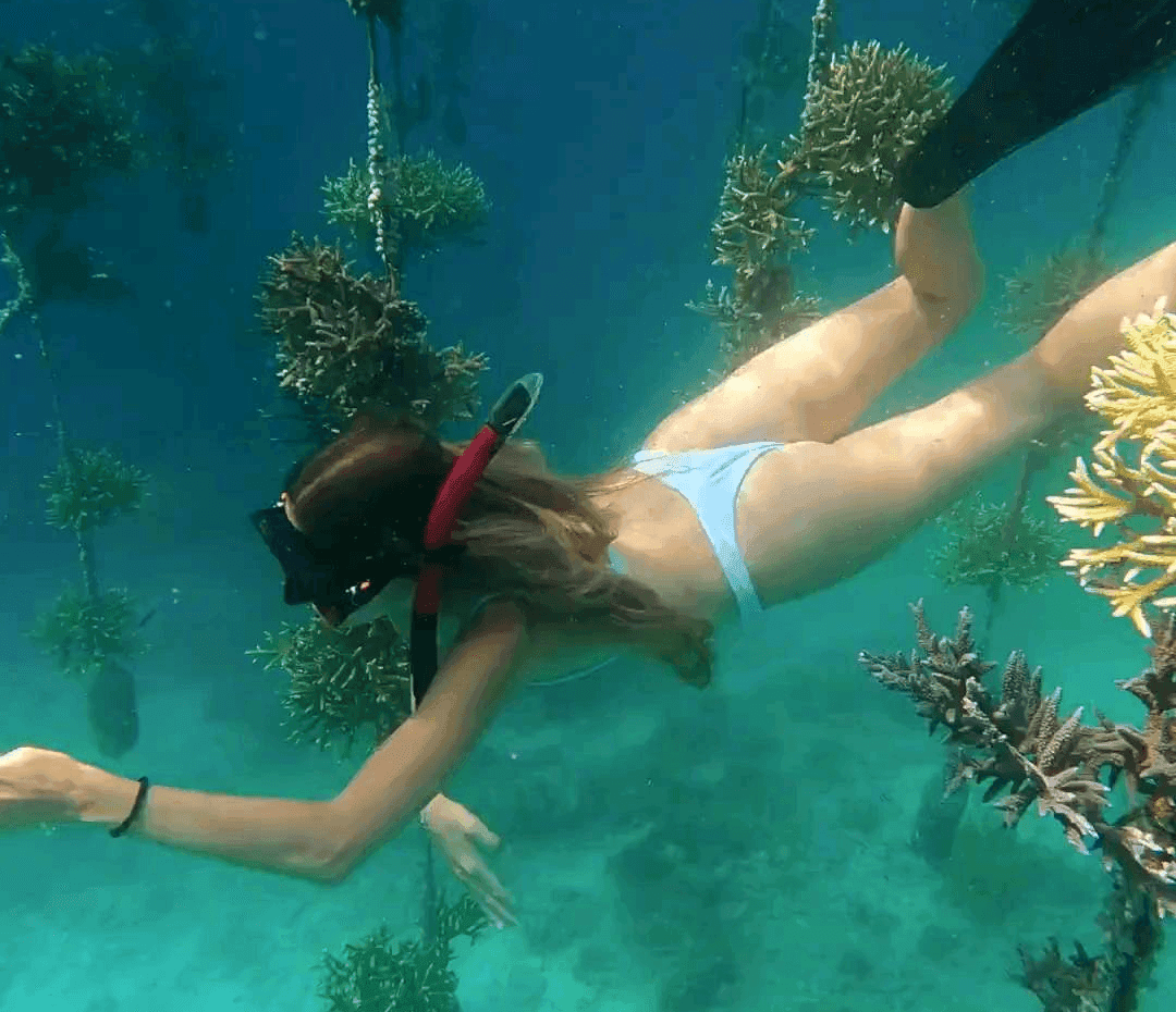 Marine conservation 9