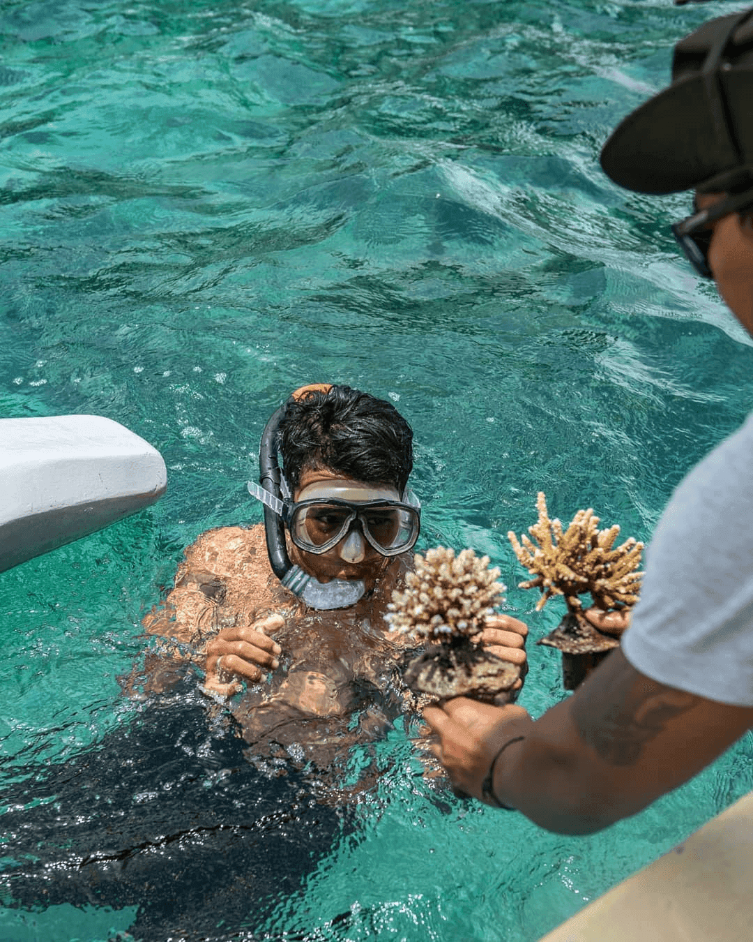 Healthy coral reef ecosystem restored through Ranger Dive Bali conservation efforts