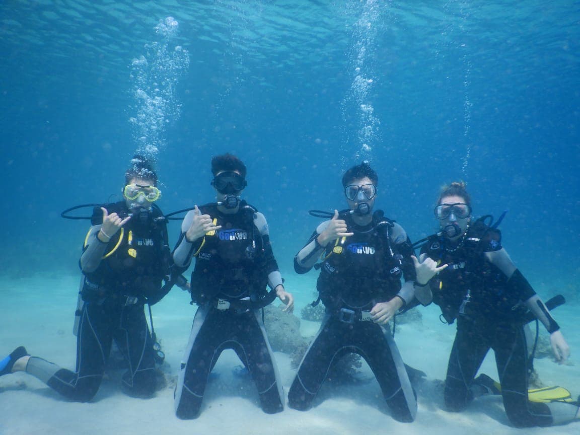 Scuba divers participating in coral reef restoration project in Northwest Bali waters