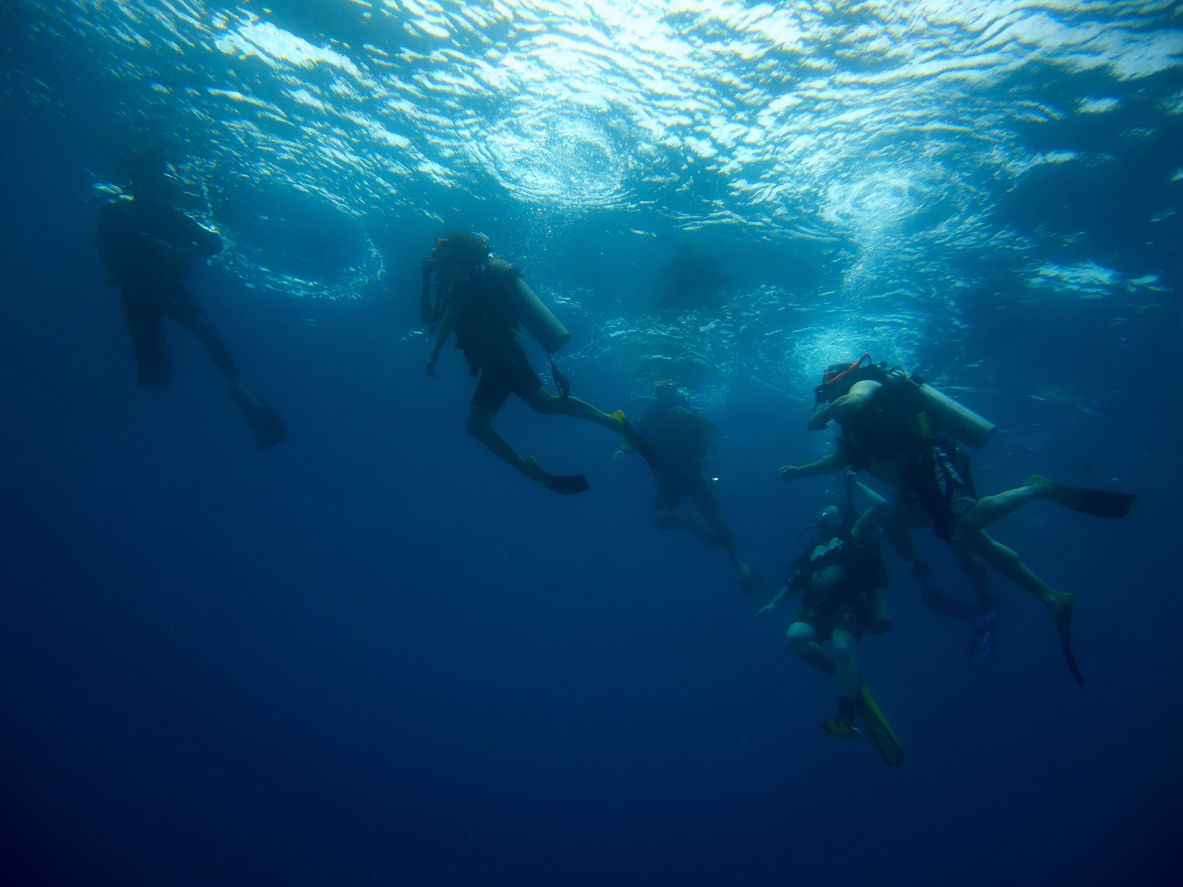 Professional dive guide ensuring safety during scuba diving session in Bali