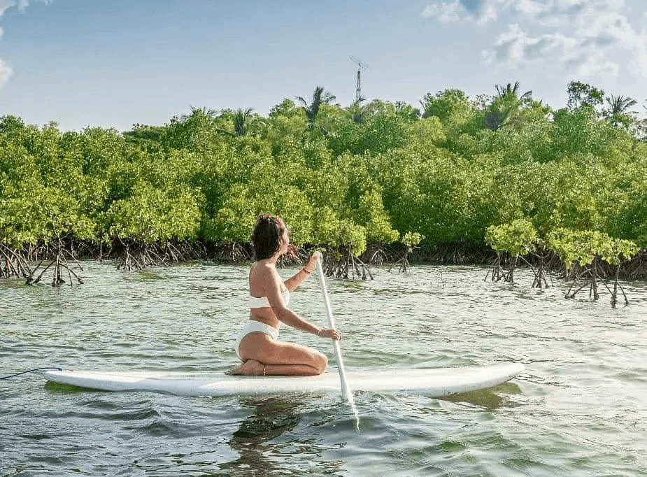 Paddleboarding