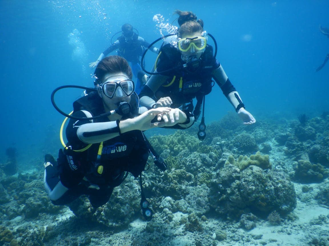 Beginner Dive