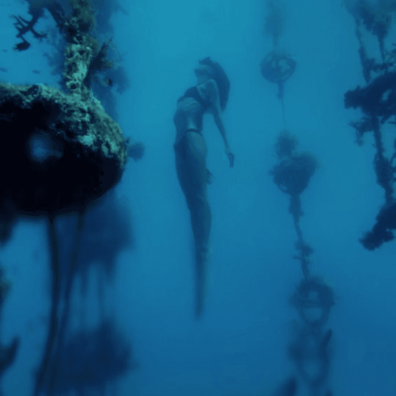 Marine conservation 1