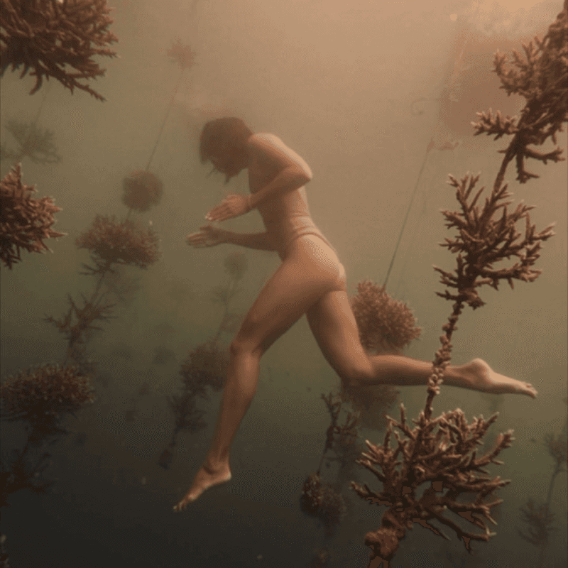 Marine conservation 3